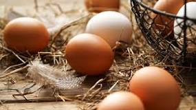 ¿Cuánto cuesta una docena de huevos ecológicos?