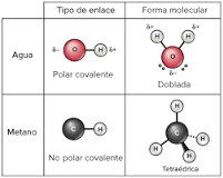 ¿Qué es un enlace covalente y sus características?