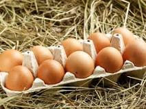 ¿Cómo saber si los huevos son camperos?
