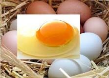 ¿Qué peso soporta un huevo sin romperse?