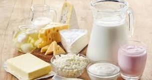¿Cuáles son los productos lácteos?