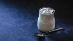 lactobacilos en yogurt