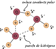 h2o geometria molecular
