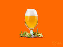La cerveza y la salud renal: ¿una mezcla saludable? - 51 - marzo 2, 2023