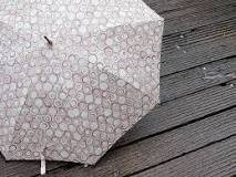 ¿Cómo se llaman las varillas del paraguas?