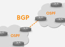 ¿Qué es OSPF y RIP?