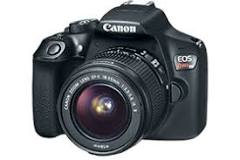 ¿Qué año salió la cámara Canon T6?