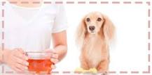 ¿Qué hace el bicarbonato en la piel del perro?