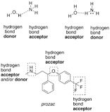 ¿Qué elementos tienen puente de hidrógeno?