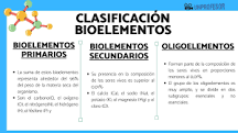 ¿Cómo se clasifican los bioelementos y ejemplos?