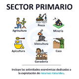 ¿Qué actividades se desarrollan en el sector primario?