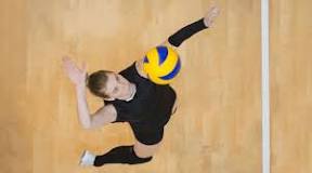 ¿Cuáles son las medidas y características del voleibol?