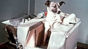 La Trágica Muerte de Laika, el Perro Espacial - 9 - febrero 13, 2023