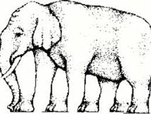 ¿Cuántos elefantes hay acertijo?