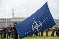 ¿Qué es la OTAN y cuál es su función?