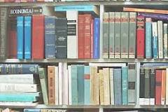 de qué manera se organizan los libros en una biblioteca