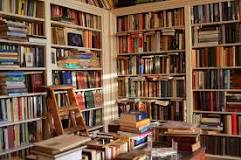 ¿Cómo se pueden organizar los libros de la biblioteca?