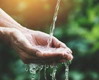 ¿Cómo podemos cuidar el agua 10 ejemplos?