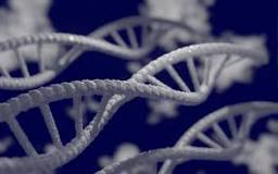 ¿Cuáles son las ventajas de la biotecnología blanca?