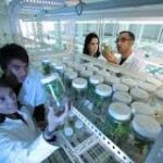 Bioingeniería UANL: Explorando la Biotecnología