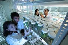 Bioingeniería UANL: Explorando la Biotecnología - 3 - marzo 13, 2023