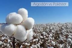 ¿Qué es mejor Poli algodón o algodón?