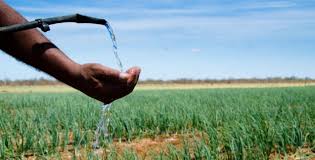 ¿Qué actividades agrícolas requieren el uso de agua?