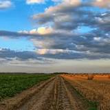 agricultura qué depende de la temporada de lluvias