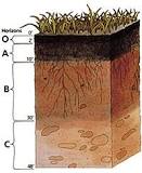 ¿Cuáles son los tipos de textura del suelo?