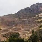 Los Cultivos Incas: Por Qué Eran Importantes