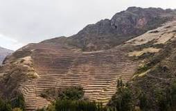 Los Cultivos Incas: Por Qué Eran Importantes - 3 - marzo 13, 2023