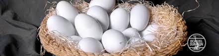 ¿Cuánto equivale un huevo de oca?