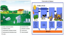 energía biomasa dibujo