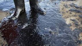¿Cómo se puede limpiar un derrame de petróleo?