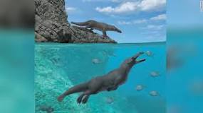 Esqueleto Maravilloso: Explorando el Delfin - 3 - febrero 22, 2023