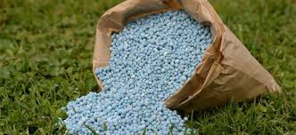 ¿Cómo saber qué tipo de fertilizante usar?
