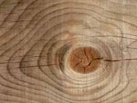 ¿Qué causa la hinchazón en la madera?