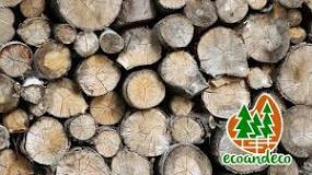 ¿Cuánto tiempo tarda en desintegrarse la madera?