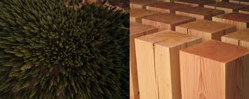 ¿Qué es mejor madera de pino o de abeto?