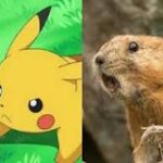 El vínculo entre Pikachu y su dueño
