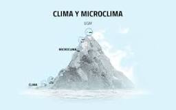 ¿Qué son los microclimas y dónde se encuentran?