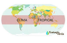 Explorando Clima Tropical - 3 - marzo 15, 2023