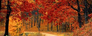 ¿Qué es lo más lindo del otoño?