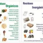 Organicos vs Inorganicos: Comparando los Dibujos