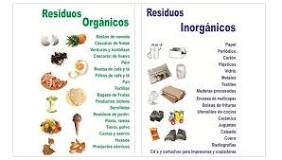 Organicos vs Inorganicos: Comparando los Dibujos - 3 - febrero 14, 2023