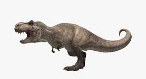 ¡Descubre el hogar del T-Rex! - 3 - febrero 11, 2023
