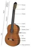 ¿Qué tipo de instrumento es la guitarra y el violín?