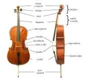 ¿Qué características tiene el violonchelo?