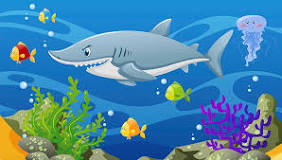 ¿Cuáles son las características de los tiburones que viven en el mar?