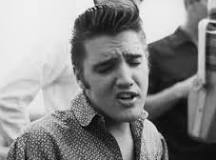 ¿Cuántos álbumes hizo Elvis Presley?